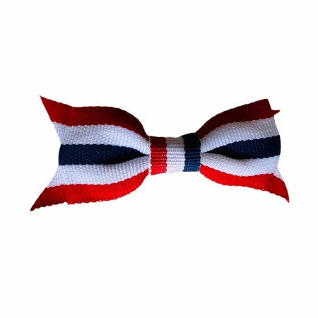 Hårspenne liten (Innerkartong 6 stk)