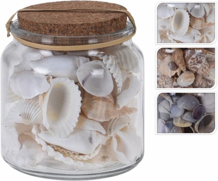 Sjø-shell og snilehus i glasskrukke (Innerkartong 6 stk)